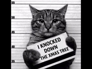 Meet your Posher, Kenneth